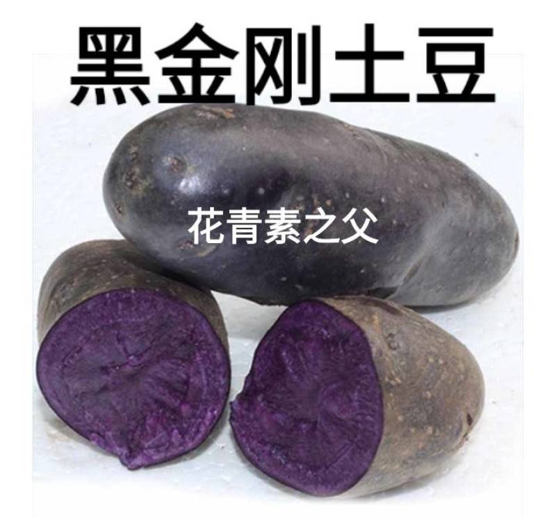 紫黑土豆黑土豆花青素含量高的黑土豆5斤装包邮