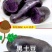 紫黑土豆黑土豆花青素含量高的黑土豆5斤装包邮