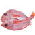 【免清理开背红石斑鱼】深海红鱼红石斑鱼大眼鱼富贵鱼石斑鱼