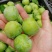 阿坝州茂县青脆李大量上市