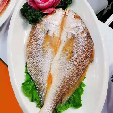 开背三去黄花鱼新鲜海鲜冷冻黄鱼黄花鱼深海大黄鱼