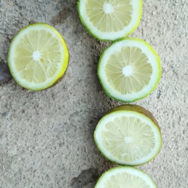 香水柠檬