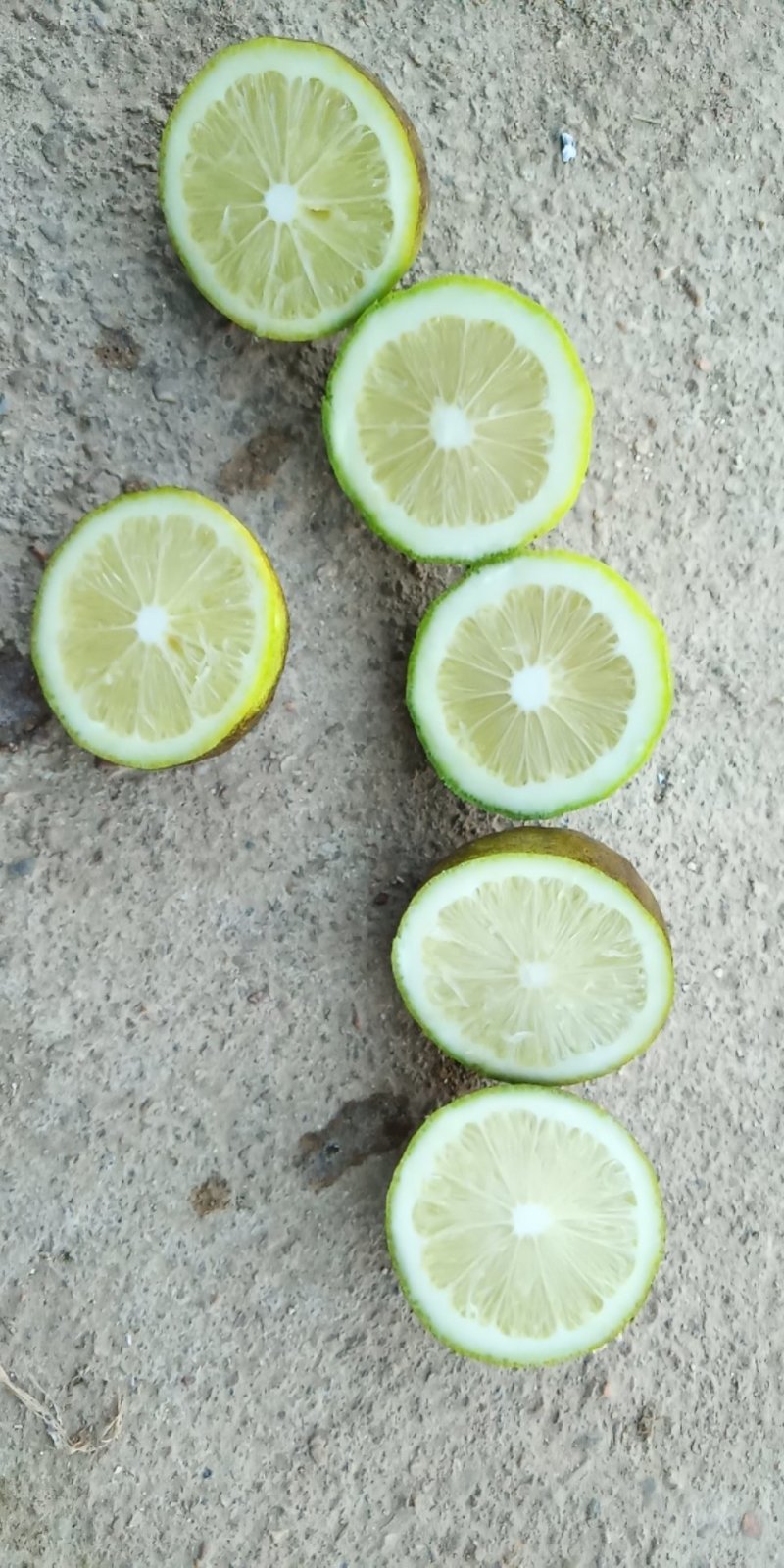 香水柠檬