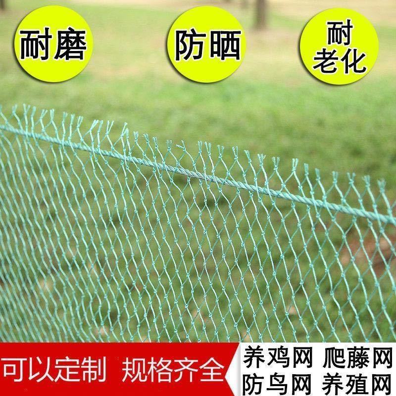 养鸡网，养殖网，防鸟网，包邮到家，快速发货！