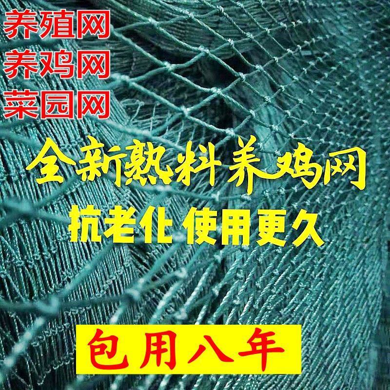 养鸡网，养殖网，防鸟网，包邮到家，快速发货！