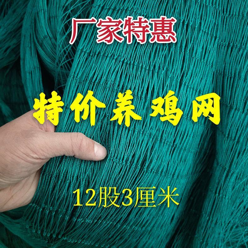 养鸡网，养殖网，防鸟网，包邮到家，快速发货！