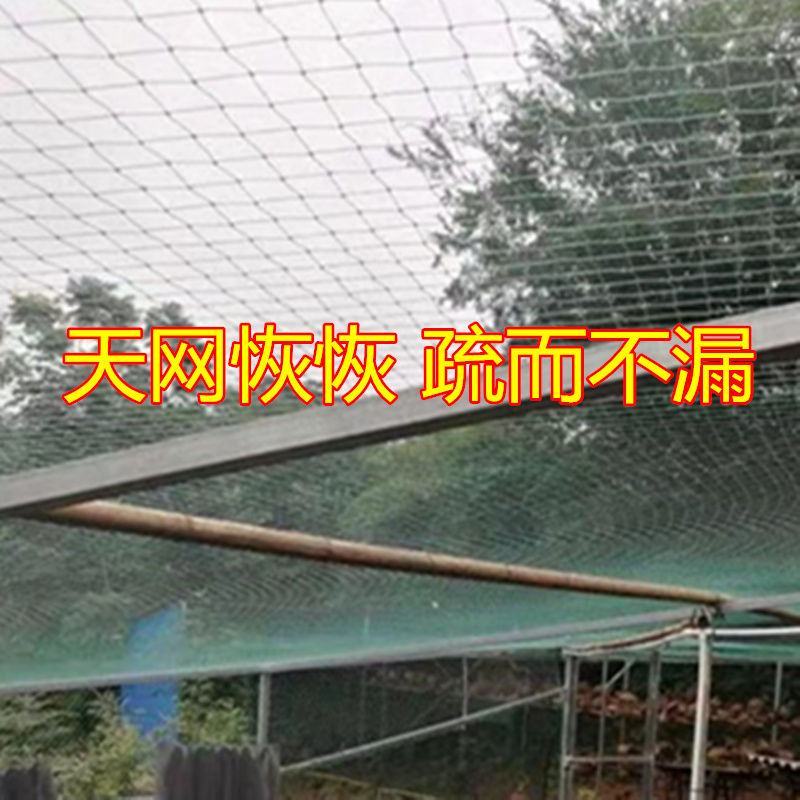 养鸡网，养殖网，防鸟网，包邮到家，快速发货！