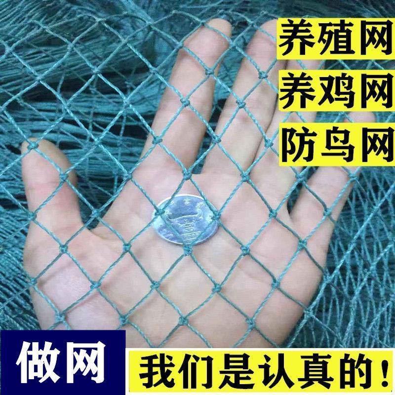 养鸡网，养殖网，防鸟网，包邮到家，快速发货！