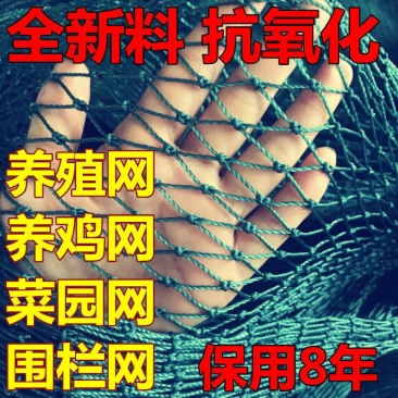 养鸡网，养殖网，防鸟网，包邮到家，快速发货！