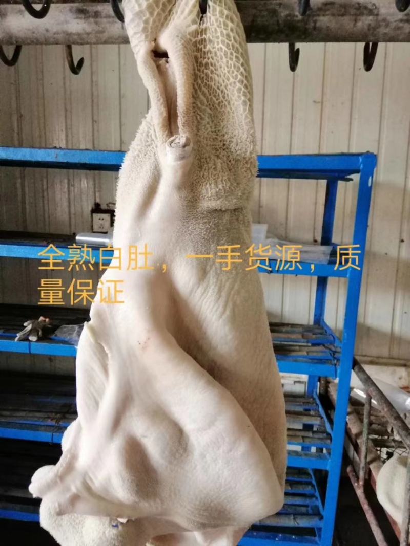 半成熟牛肚，国产纯干大牛肚，质量好，厂家直销，量大从优