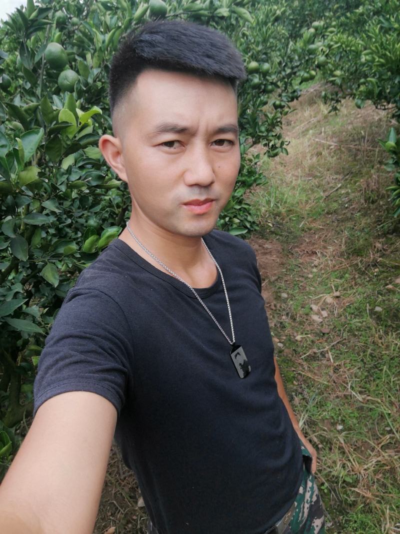 特早蜜桔，甜如初恋，美如娇妻