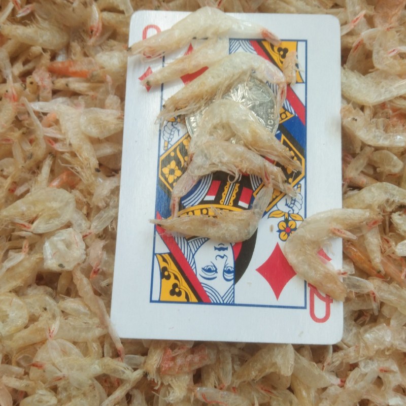 虾皮虾，淡干大虾皮补钙