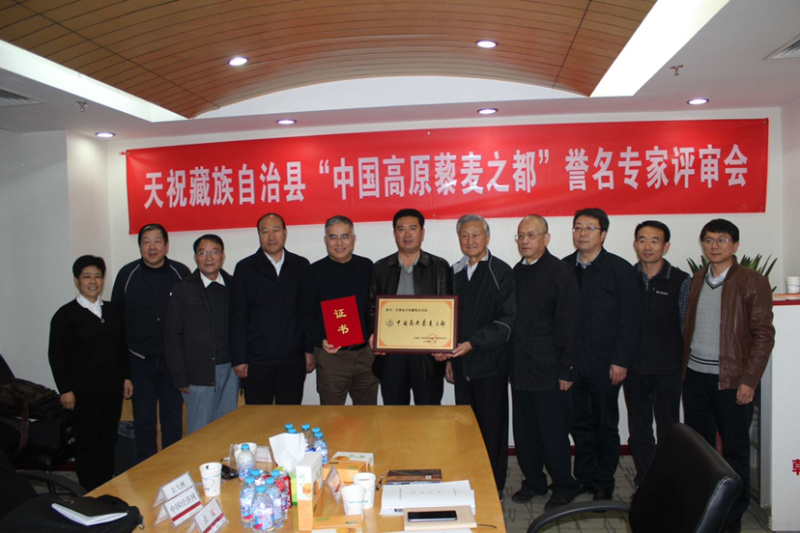 无糖精高蛋白藜麦饼干96g能量饱腹代餐零食运动营养补充