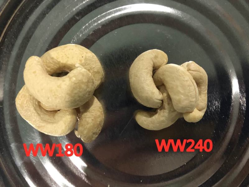 大量供应越南腰果巴旦木