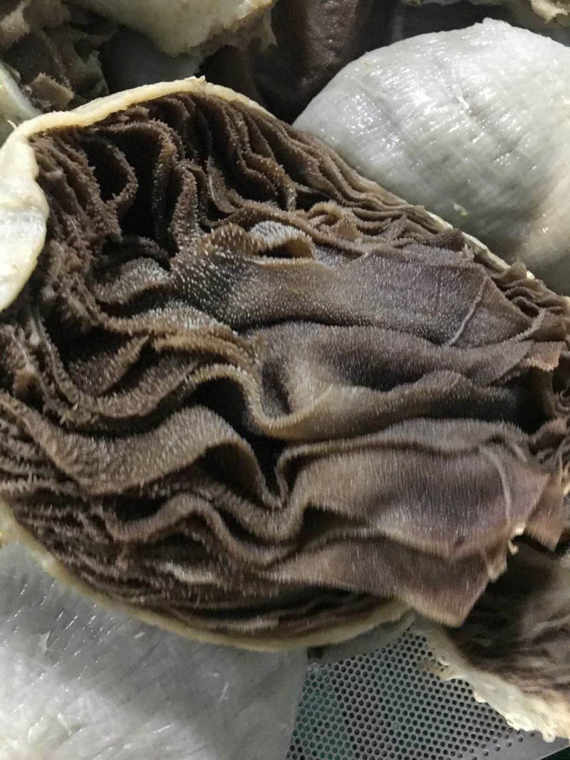 毛肚黑个子36元一斤，火锅毛肚，整个子，欢迎咨询