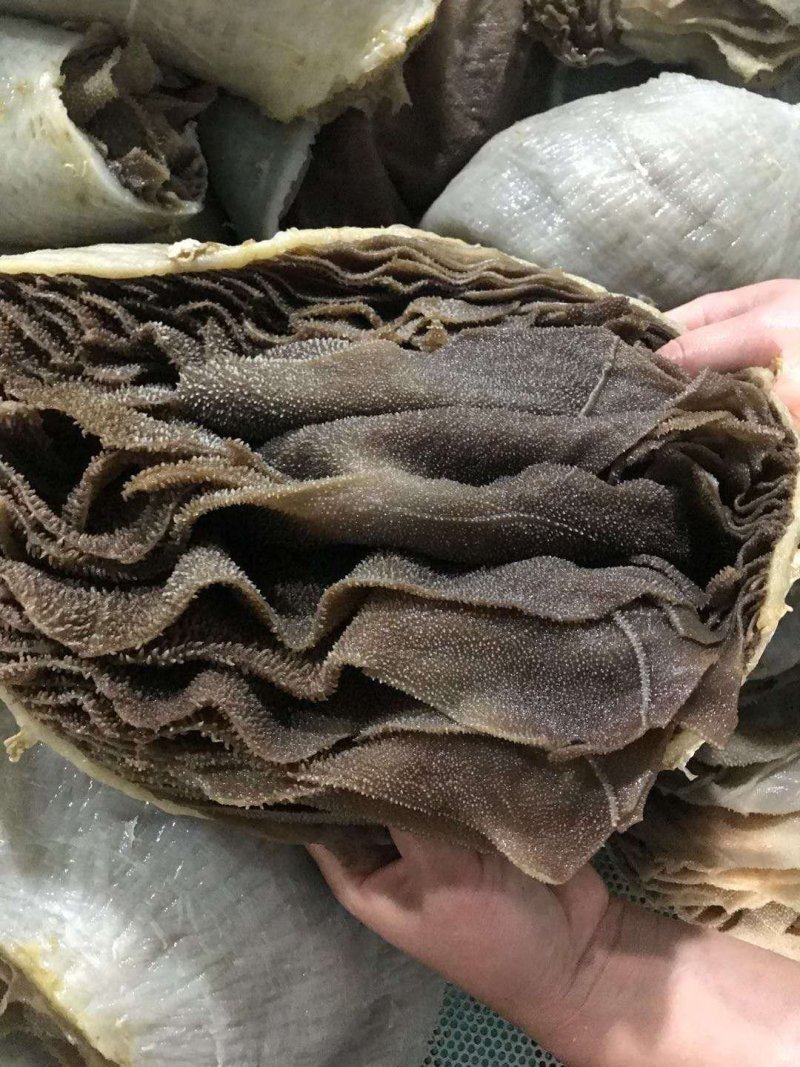毛肚黑个子36元一斤，火锅毛肚，整个子，欢迎咨询