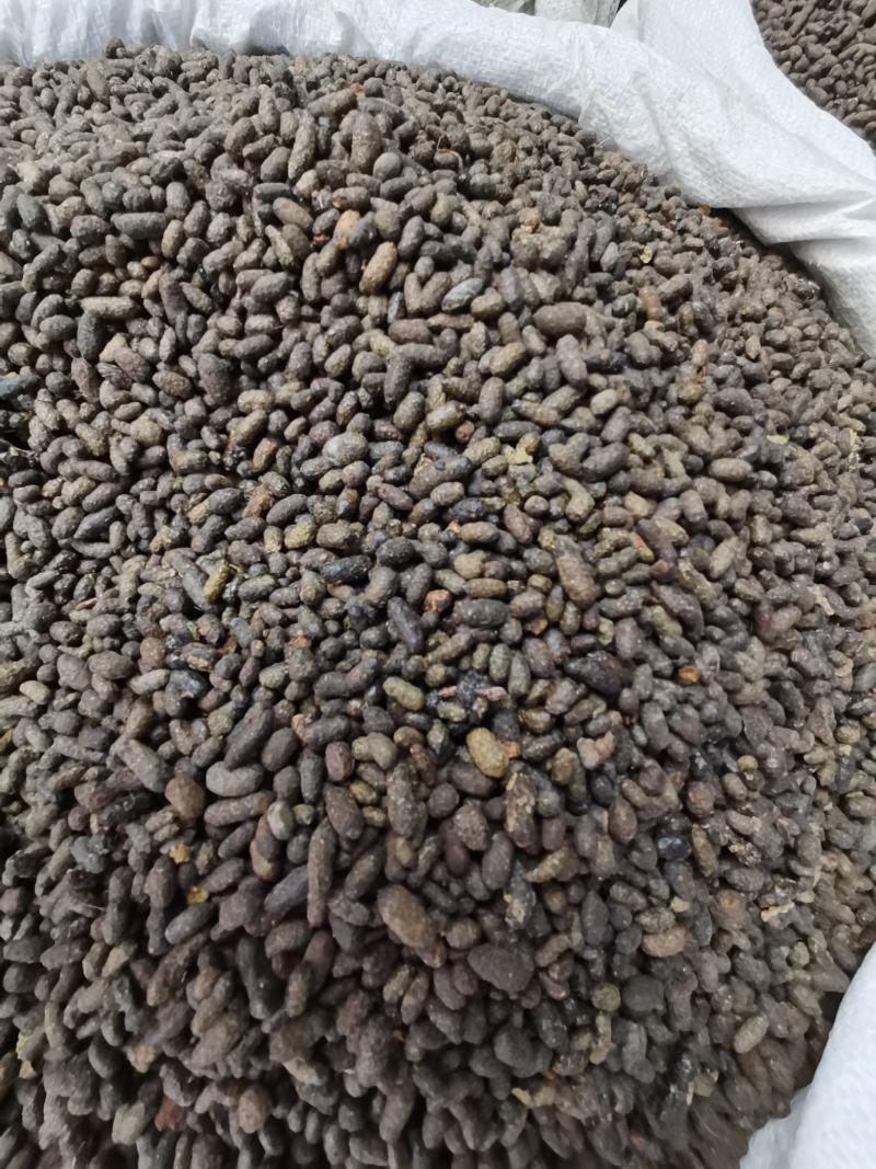 五灵脂包邮老鼠屎颗粒大饱满正品五灵脂无条件退货