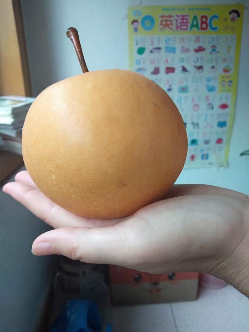 丰水，黄金梨，陕西汉中