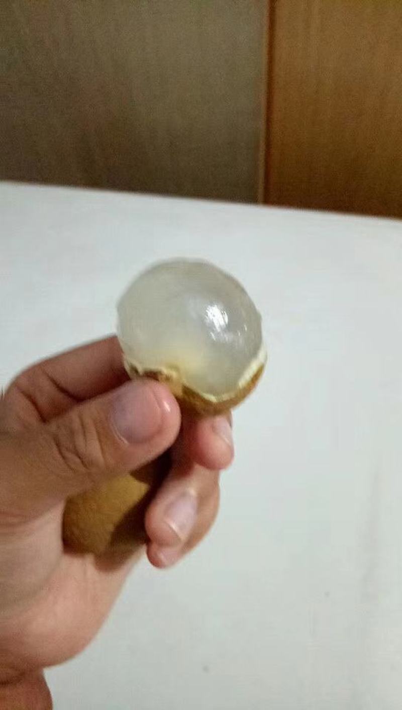攀枝花薄皮肉多鲜龙眼