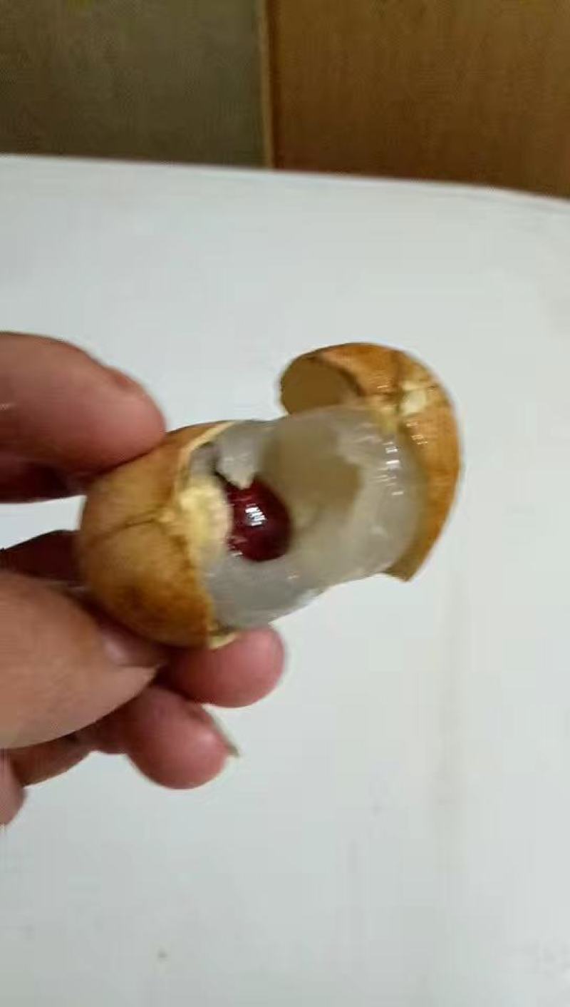攀枝花薄皮肉多鲜龙眼