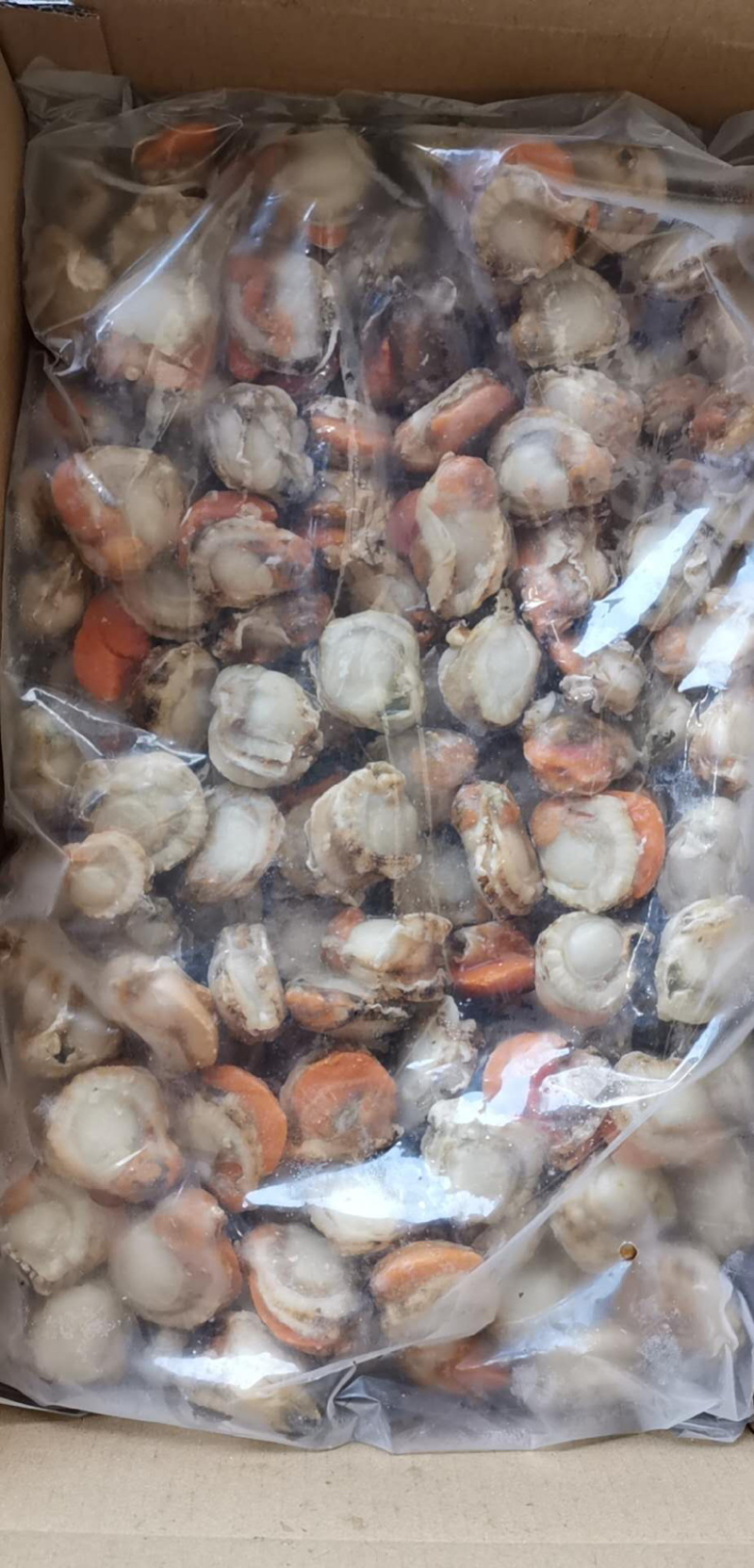 扇贝肉扇贝原汁扇贝肉带胃工厂直营可视频看货一手货源