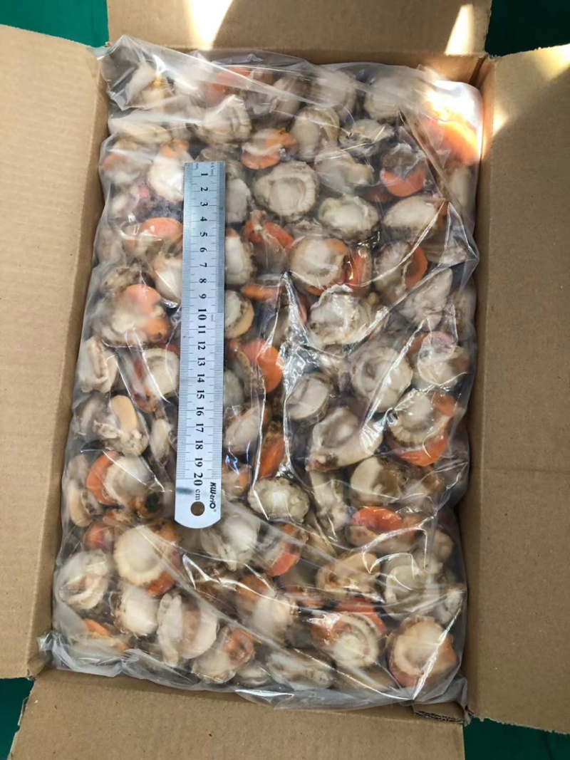 扇贝肉扇贝原汁扇贝肉带胃工厂直营可视频看货一手货源