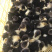 出售大种火鸭苗，诚信商家，品种优良，量大从优
