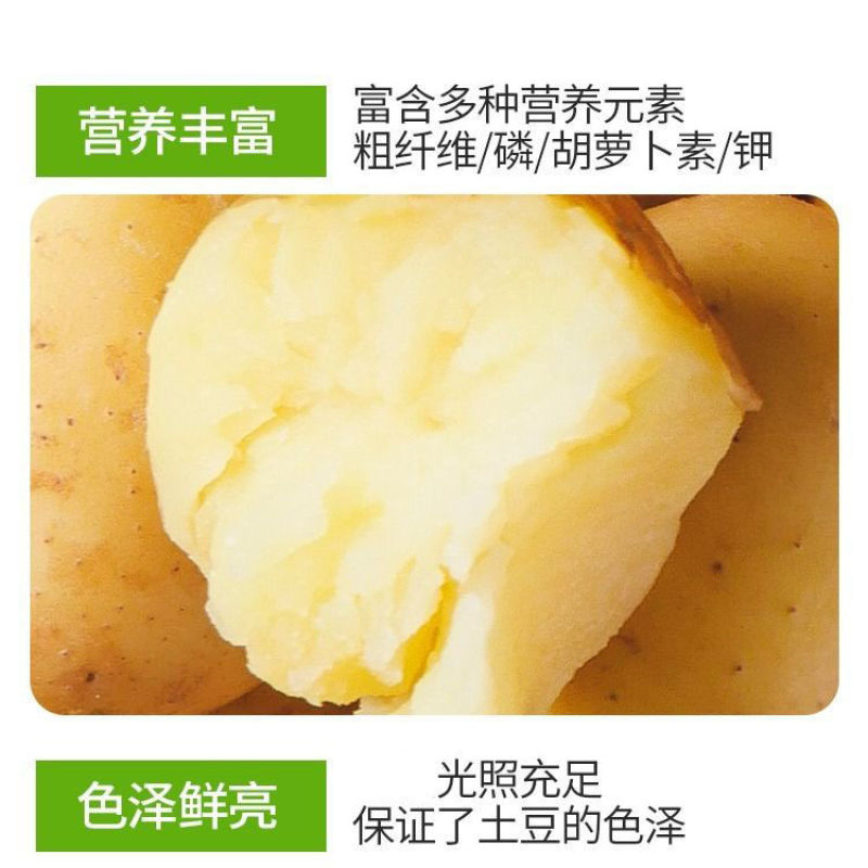 武川小土豆（烧烤，涮，炸）