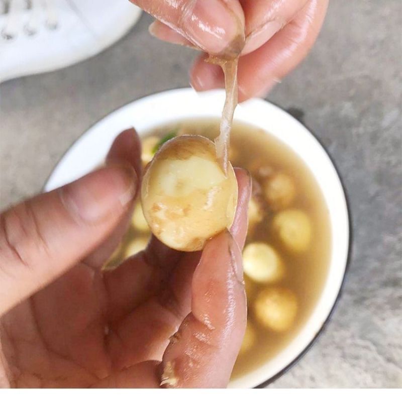 武川小土豆（烧烤，涮，炸）