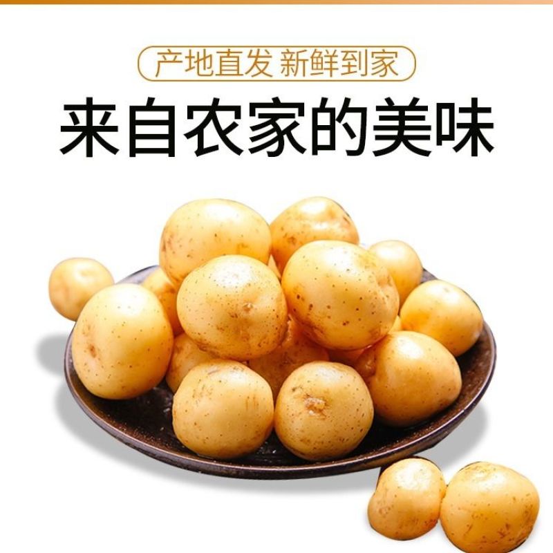 武川小土豆（烧烤，涮，炸）