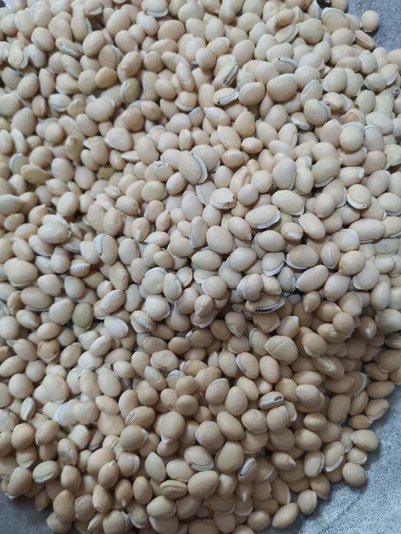 扁豆各种规格产地直供大量批发质量保证