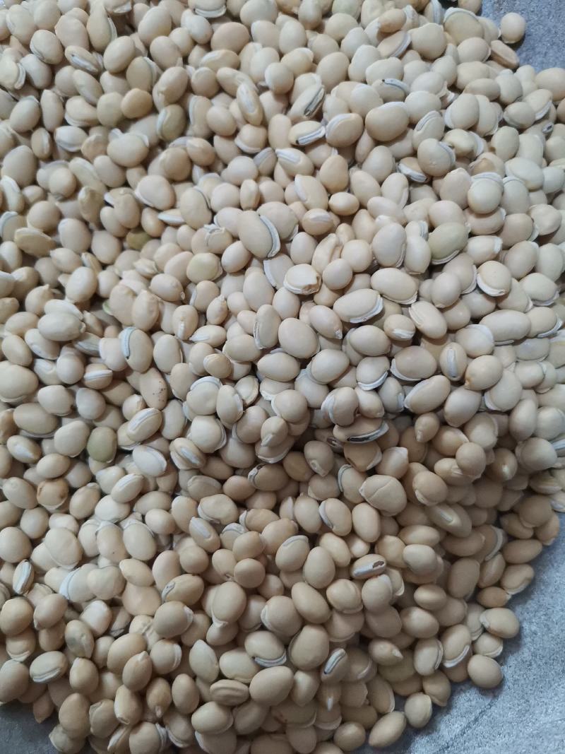 扁豆各种规格产地直供大量批发质量保证