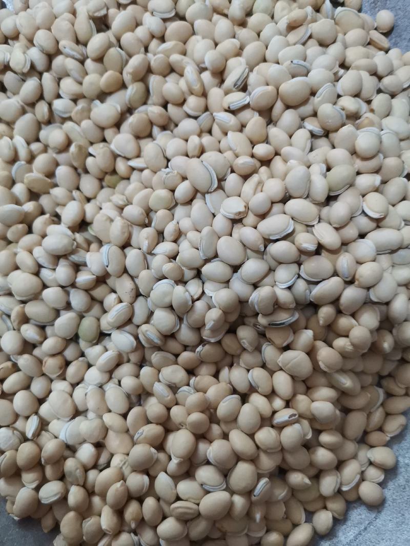扁豆各种规格产地直供大量批发质量保证