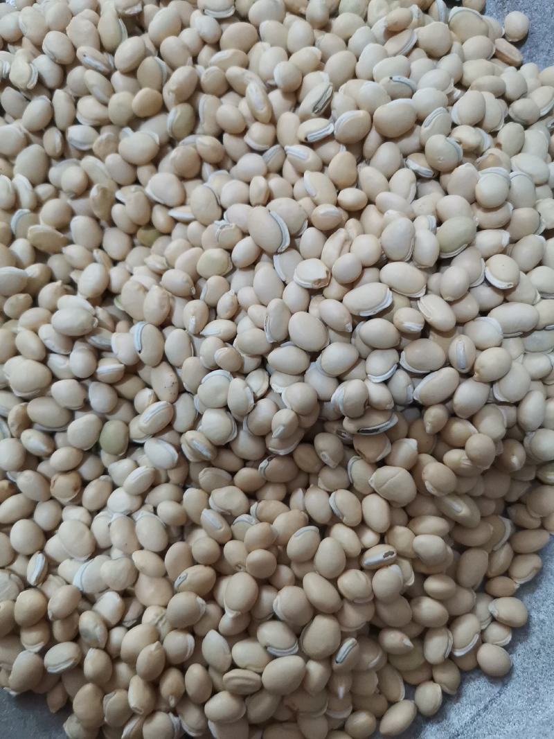 扁豆各种规格产地直供大量批发质量保证