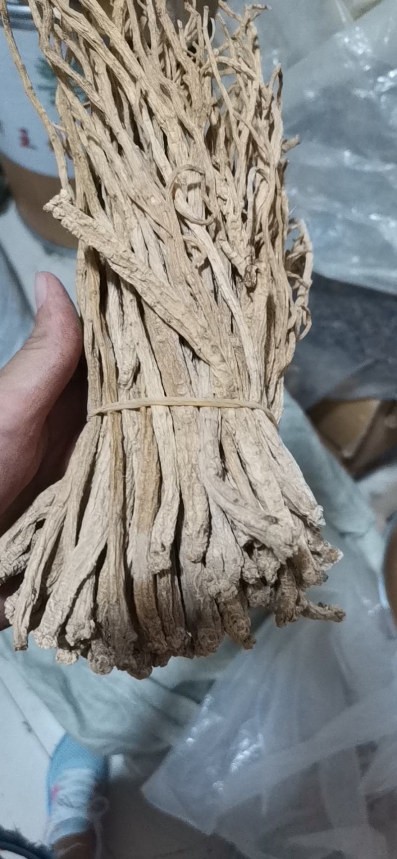 党参个甘肃新货大量批发零售质量保证