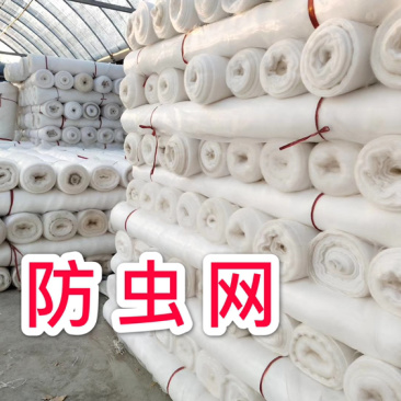 厂家直供：60目防虫网，果树专用防虫网罩