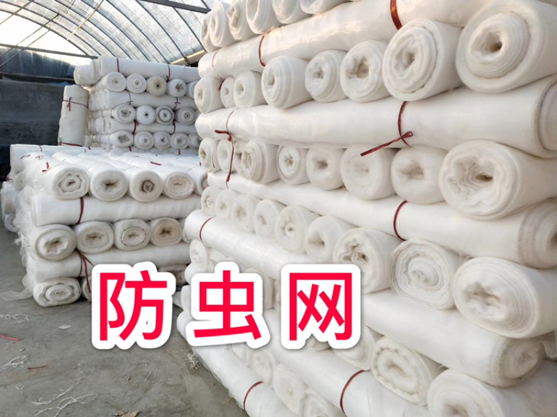 厂家直供：60目防虫网，果树专用防虫网罩
