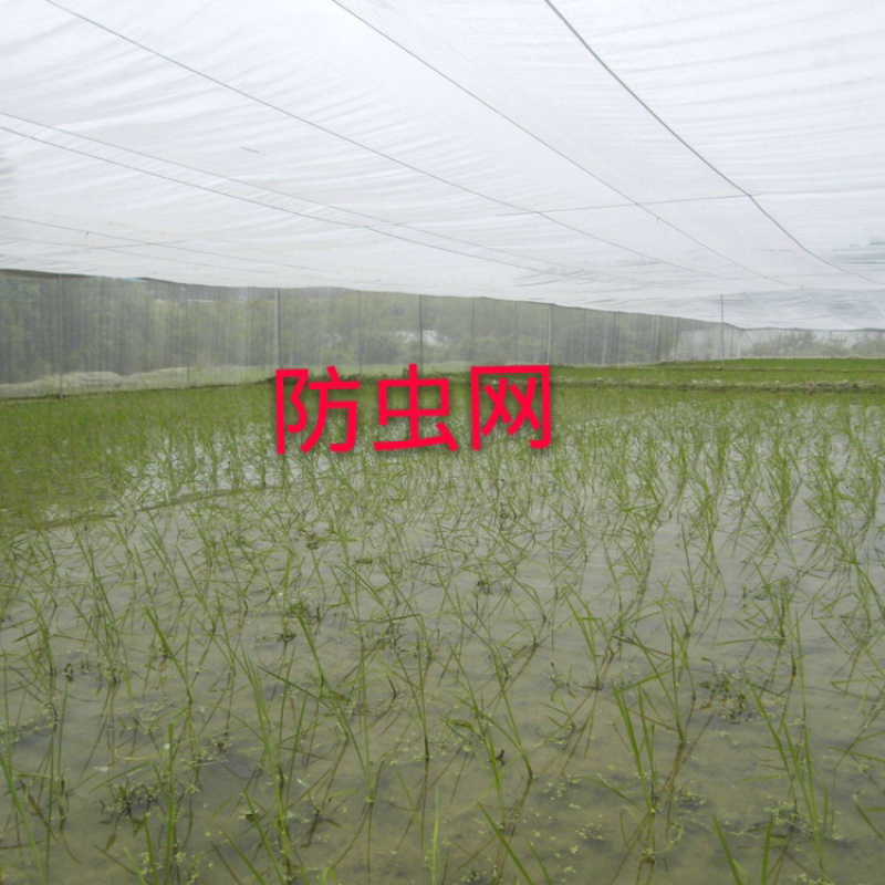 厂家直供：60目防虫网，果树专用防虫网罩