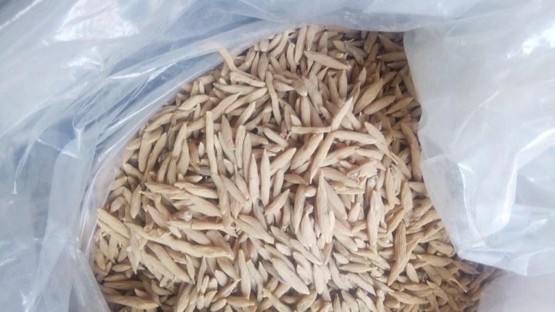 2021年3月新货麦冬自然晒货质量好色泽亮颗粒饱满