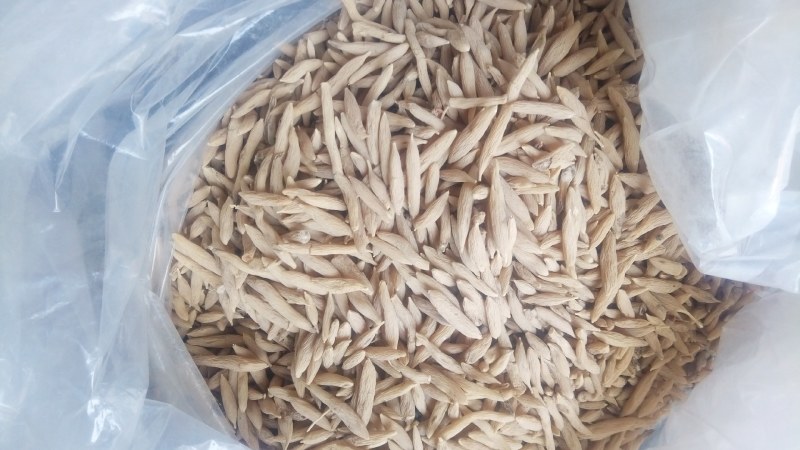 2021年3月新货麦冬自然晒货质量好色泽亮颗粒饱满