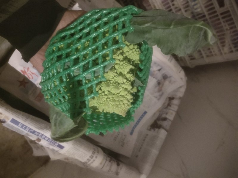 宝塔花宝塔菜（张北现货），质量优先，山东高品质