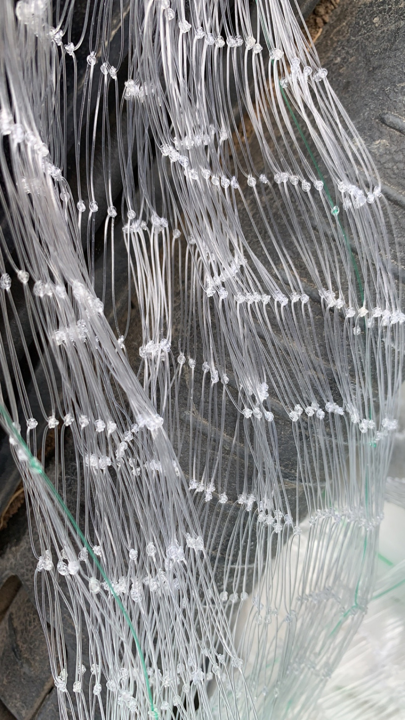 厂家直供：果园专用防鸟网，大棚专用防鸟网，厂家直供