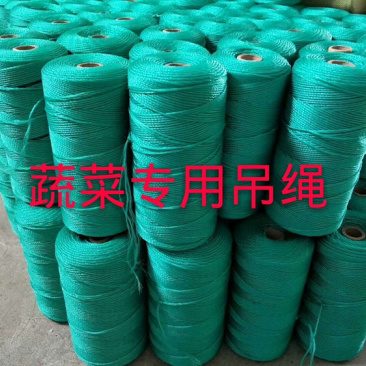 厂家直供：蔬菜专用吊绳，大棚专用蔬菜专用吊绳，厂家直发