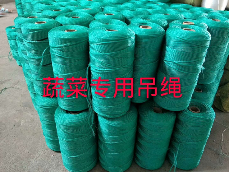 厂家直供：蔬菜专用吊绳，大棚专用蔬菜专用吊绳，厂家直发