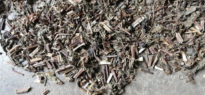 广东溪黄草，苦溪黄草，优质溪黄草，质量保证欢迎下单