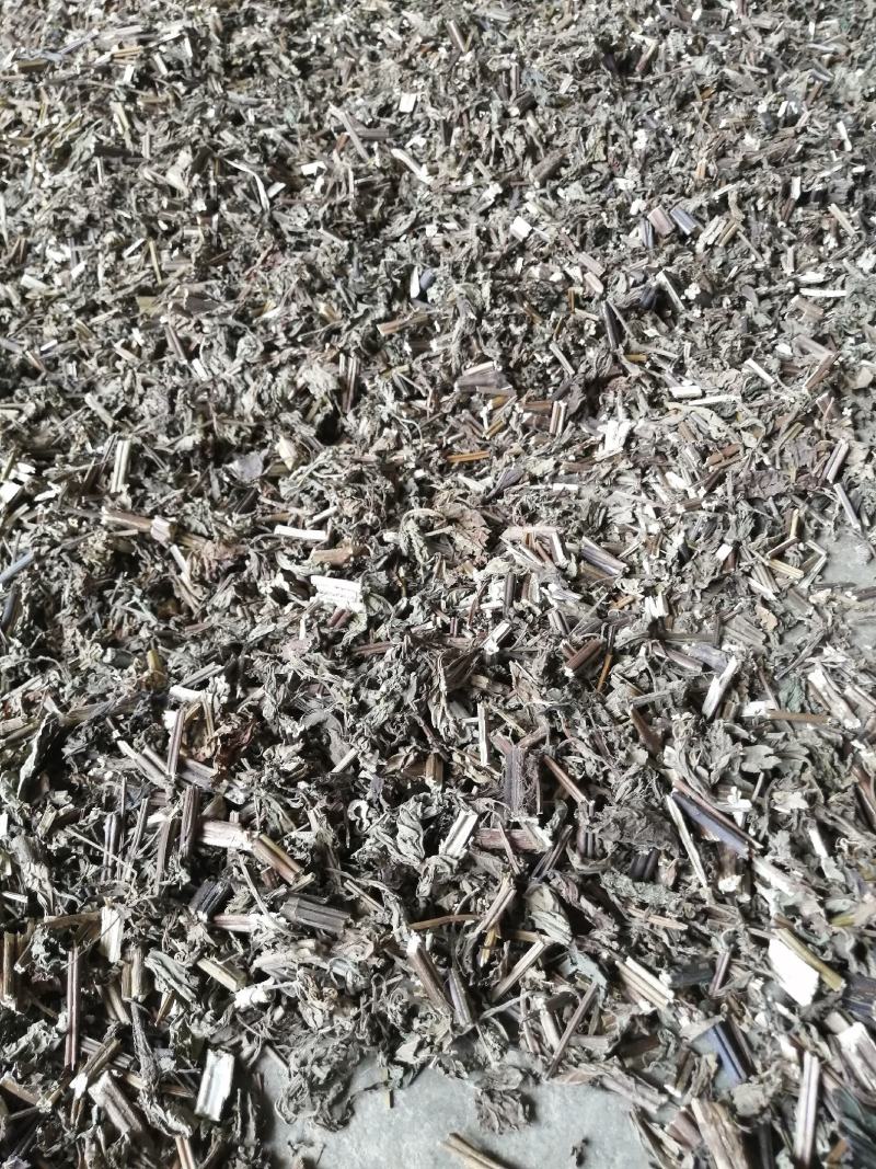 广东溪黄草，苦溪黄草，优质溪黄草，质量保证欢迎下单