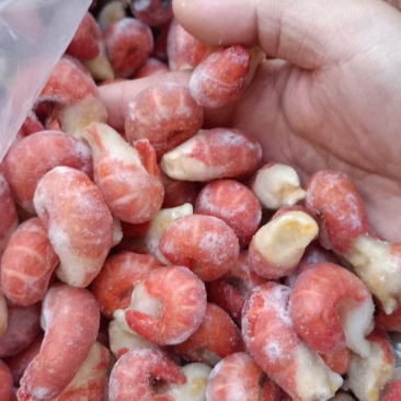 各种各样龙虾尾，一级，二级，特a，特级，大特