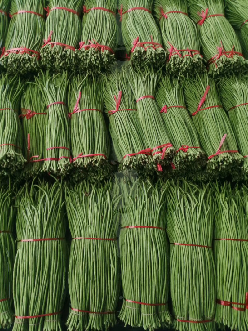 【官方首推】长豆角产地直销价格实惠。质量保证