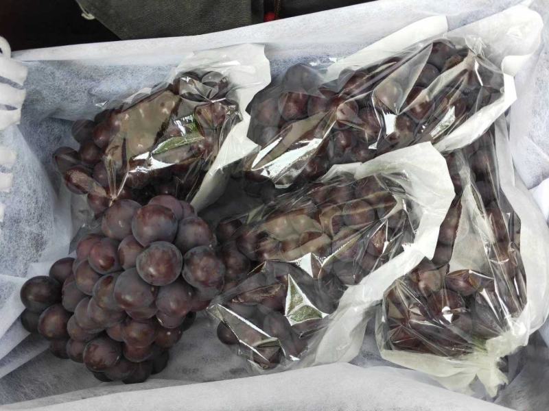 代办巨峰需要收货的联系我