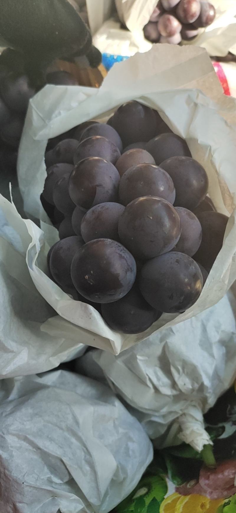 代办巨峰需要收货的联系我